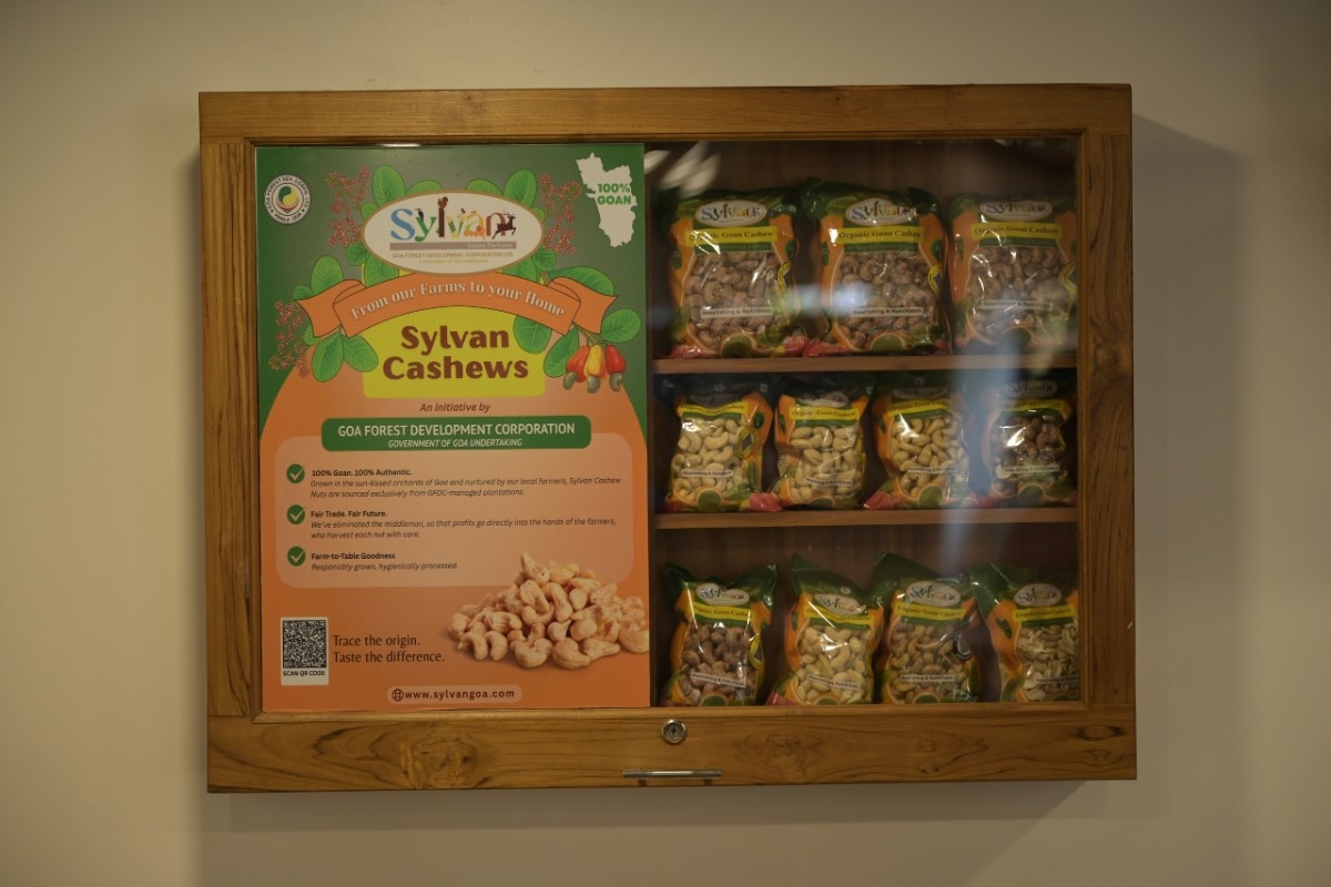 Sylvan Cashews