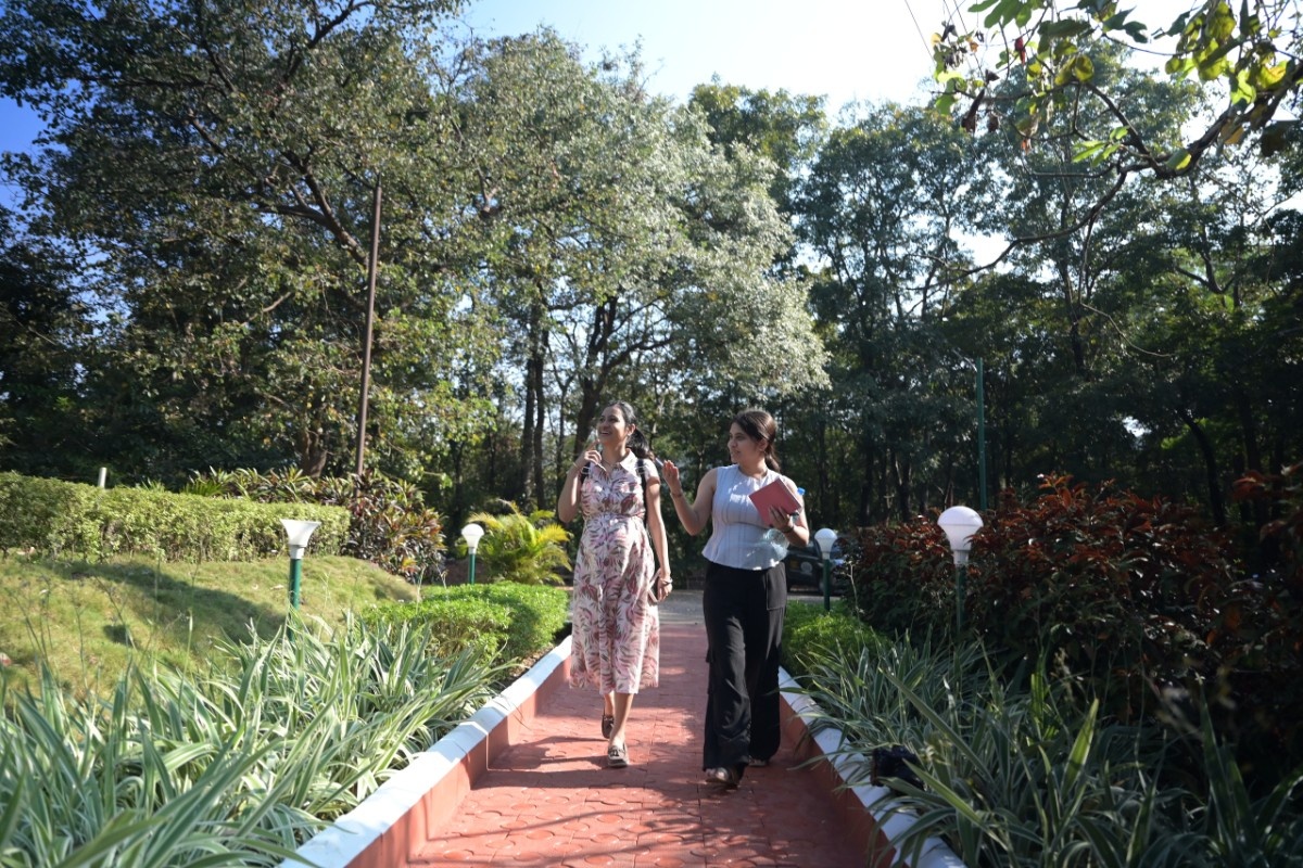 Surrounding Area
